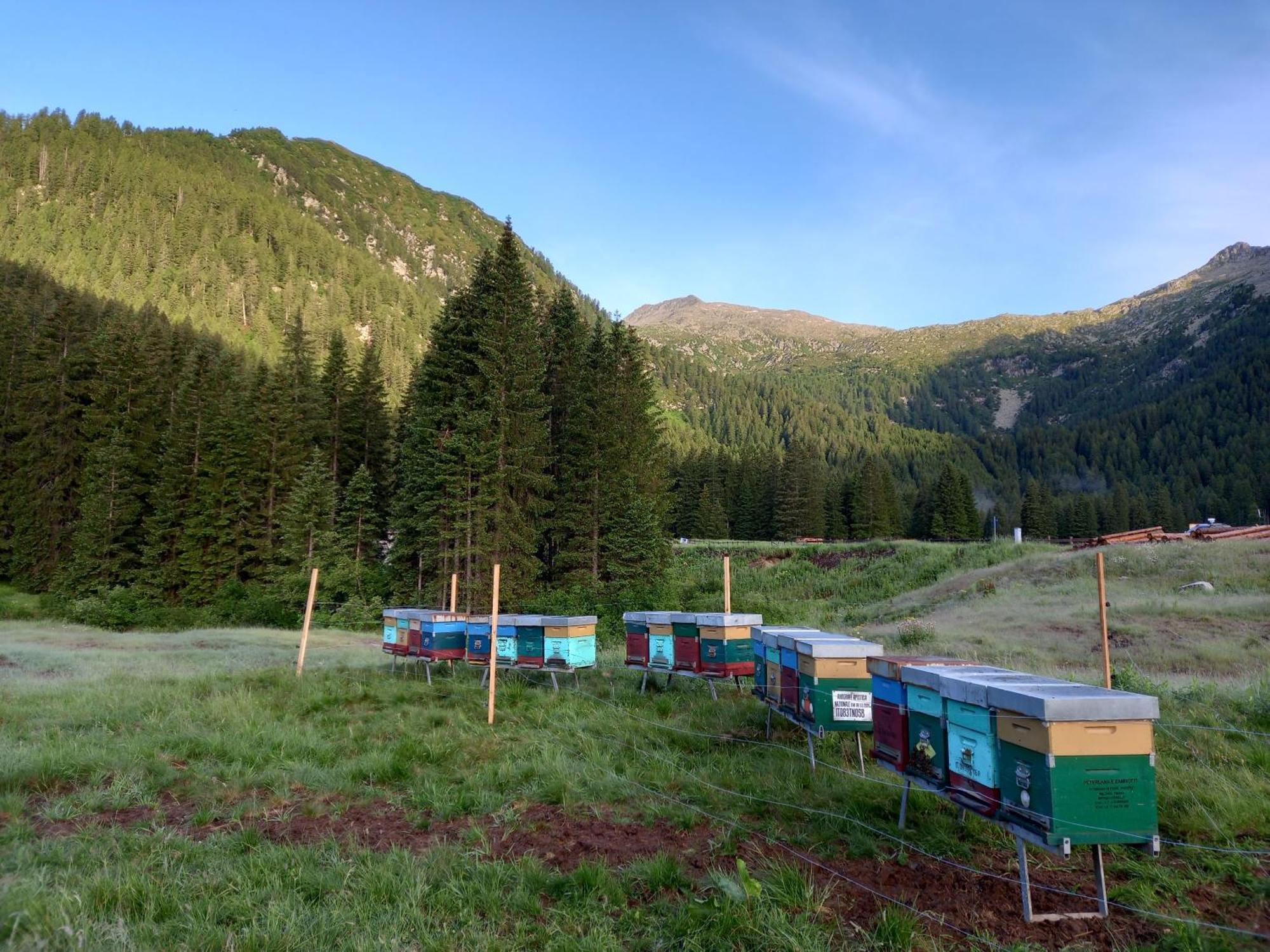 Вилла Agritur Ca' De Mel Fiave Экстерьер фото
